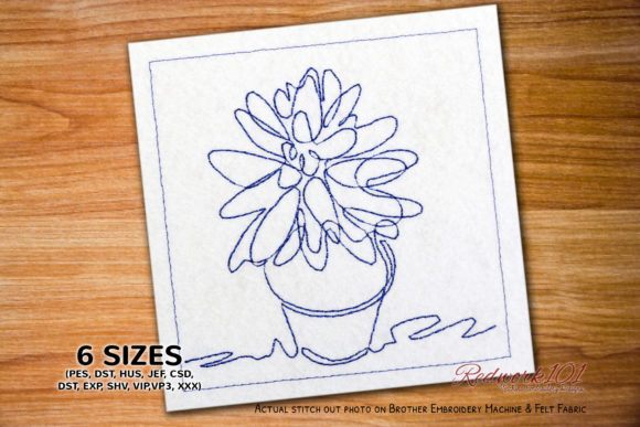 Crassula Cultrata Succulents Redwork