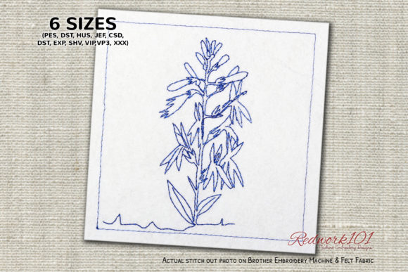 Plant of Cardinal Flower Redwork